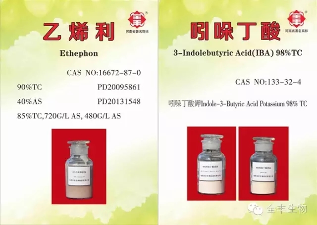 beat365(中国)官方网站